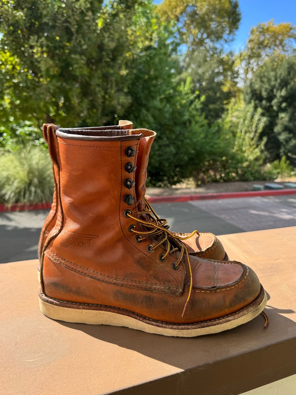 Redwing 8” 10877